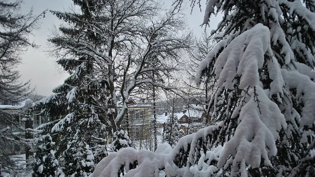 Winterwandern im Harz