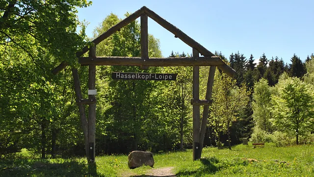 Loipen im Sommer bei Braunlage im Harz