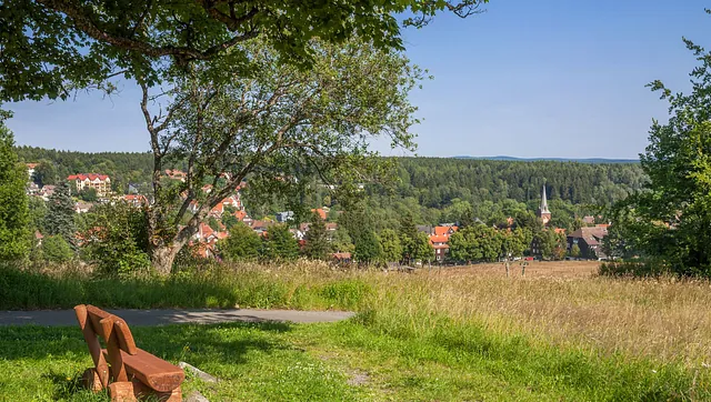 Sommerlicher Ausblick auf Braunlage im Harz