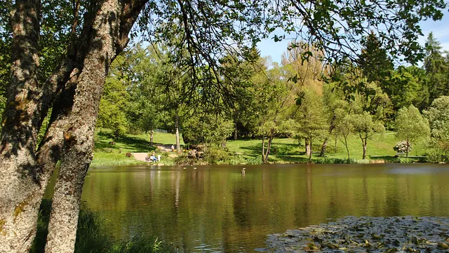 Idyllische Landschaften bei Braunlage im Harz