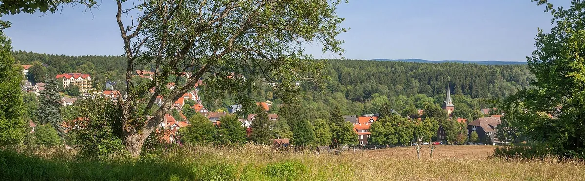Blick auf Braunlage im Sommer